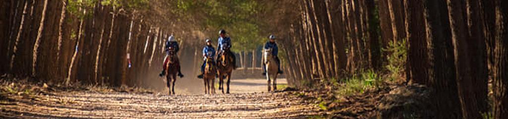 Endurance equestre nella Valle di Lanaitho Oliena